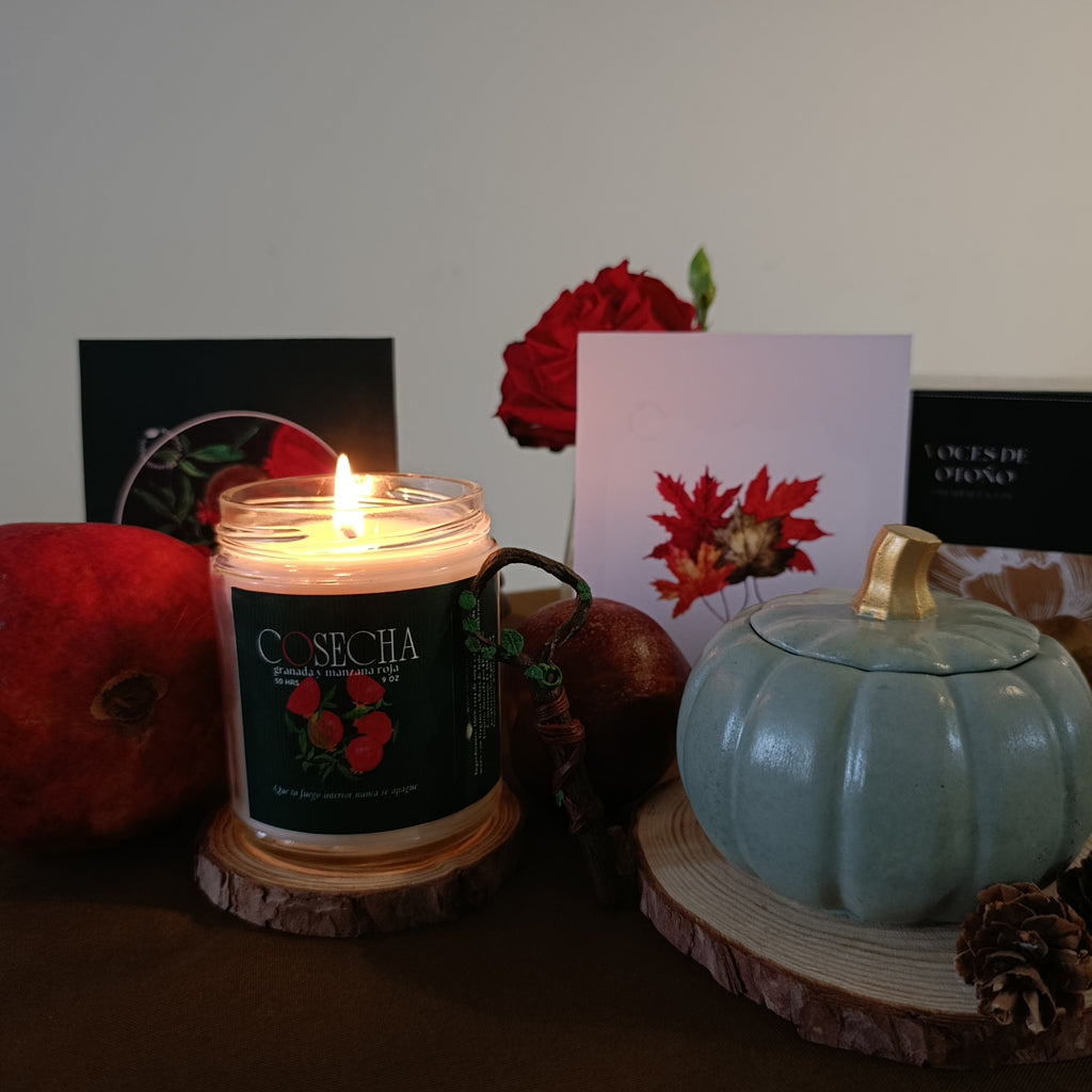 paquete dos velas prophetamx
