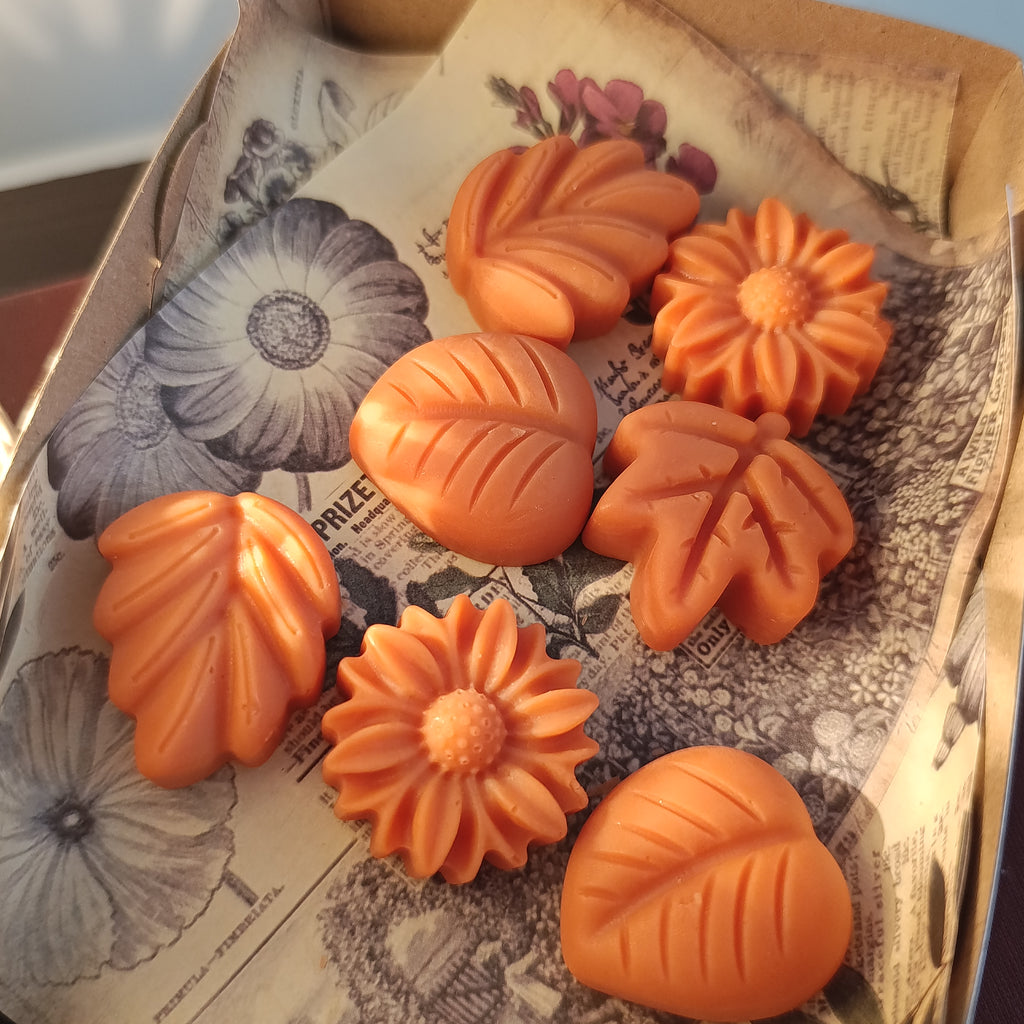 pastillas aromáticas de cera en formas de hojas y flores otoñales