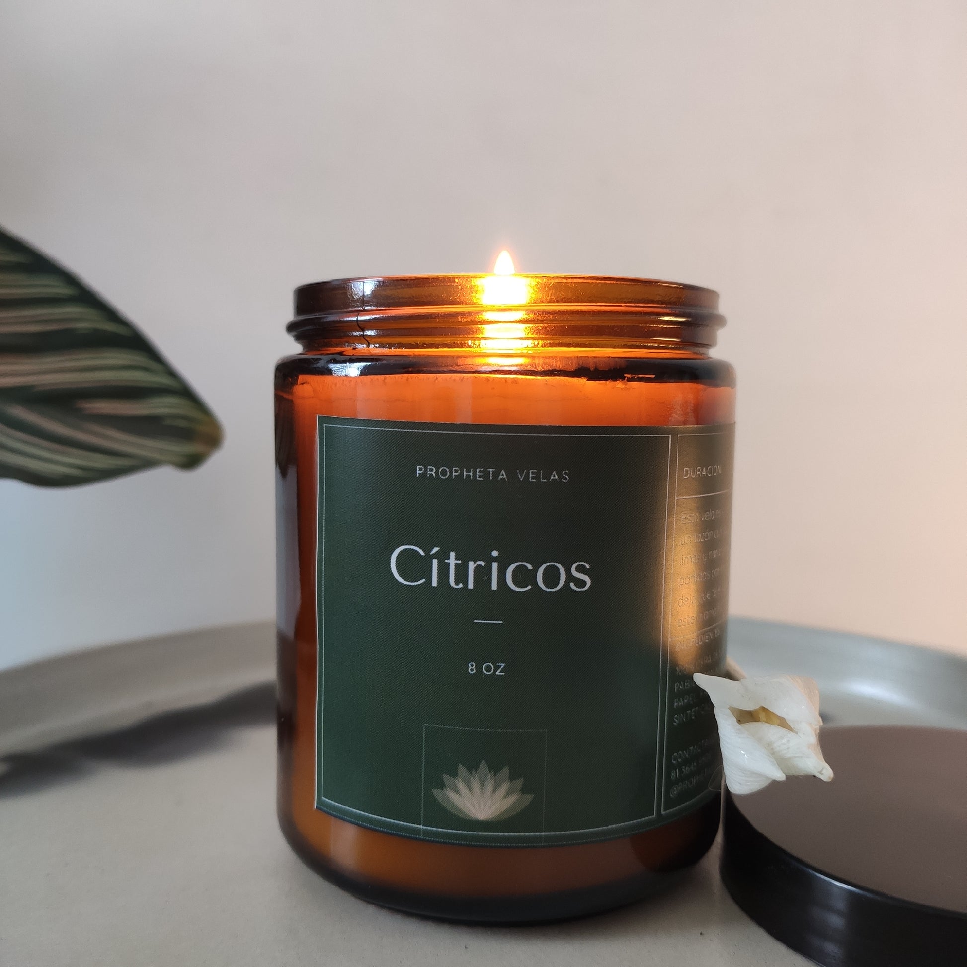 vela aromática de cera de soja